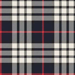 cute navy tartan plaid