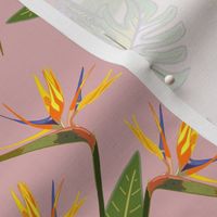 Tropical Paradise Butterflies - mauve pink, medium