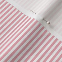 Stripe 1/8 in Peony (pink horizontal stripes, blush pink, rose pink, soft pink, coordinate, small, mini)