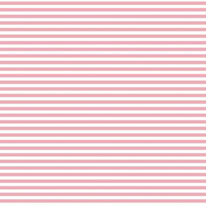 Stripe 1/8 in Peony (pink horizontal stripes, blush pink, rose pink, soft pink, coordinate, small, mini)