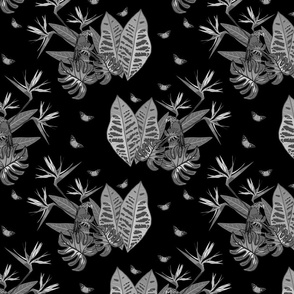 Tropical Paradise Butterflies - greyscale on black, medium