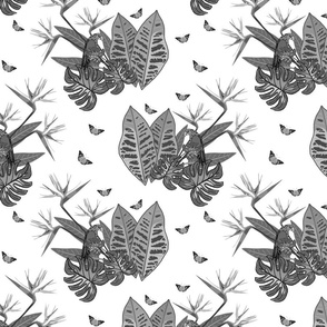 Tropical Paradise Butterflies - greyscale on white, medium