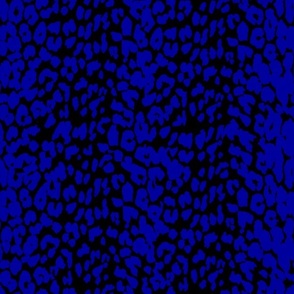 Royal Blue Leopard Print