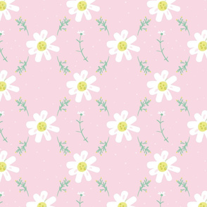 chamomile and pineappleweed wildflowers on pink by rysunki_malunki