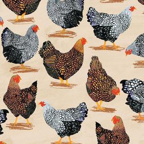 Plucky Chickens Brown - 42