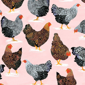 Plucky Chickens Pink - 42