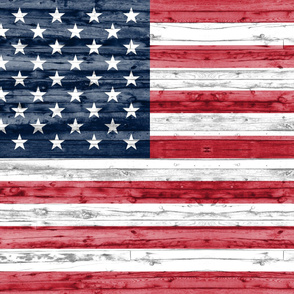 54" minky yard panel - American flag C21