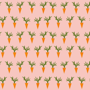 Carrots Pink Medium