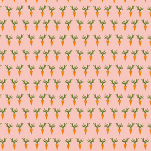Carrots Pink - Small
