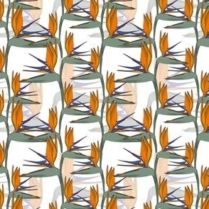 Real Strelitzia // Normal Scale // White Background // Exotic Plants // Botanical Vibe // Orange Jungle  // Bird Flower