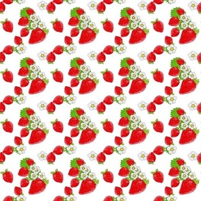 Nina's Strawberry Patch on White