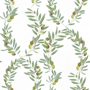 Olive Branches Peace & Friendship 