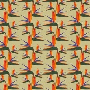 Strelitzia Bird Flower // Normal Scale // Yellow Background // Exotic Plants // Tropical Moody // Flora Vibe // 