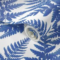 blue ferns on white background, blue aesthetic M