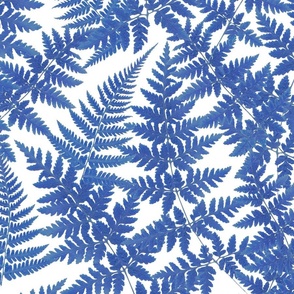 blue ferns on white background, blue Fabric | Spoonflower