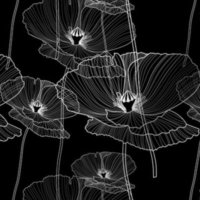 Black and White Poppy // Large Scale // Poppy Lines // Poppy Flowers // Wild Flowers // Cotton // White Lines Flowers // Black background