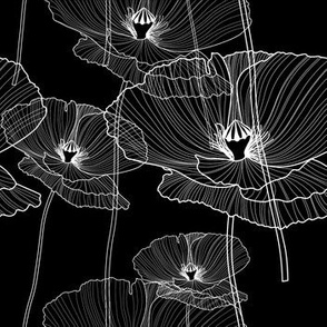 Black and White Poppy // Large Scale // Poppy Lines // Poppy Flowers // Wild Flowers // Cotton // White Lines Flowers // Black background