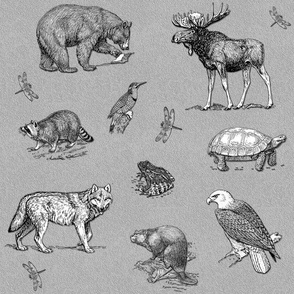 Wildlife  montage, moose, bear, raccoon, eagle, wolf