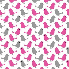 bright pink grey birds