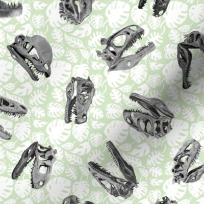 Carnivore Dino Skulls on Mint Jungle
