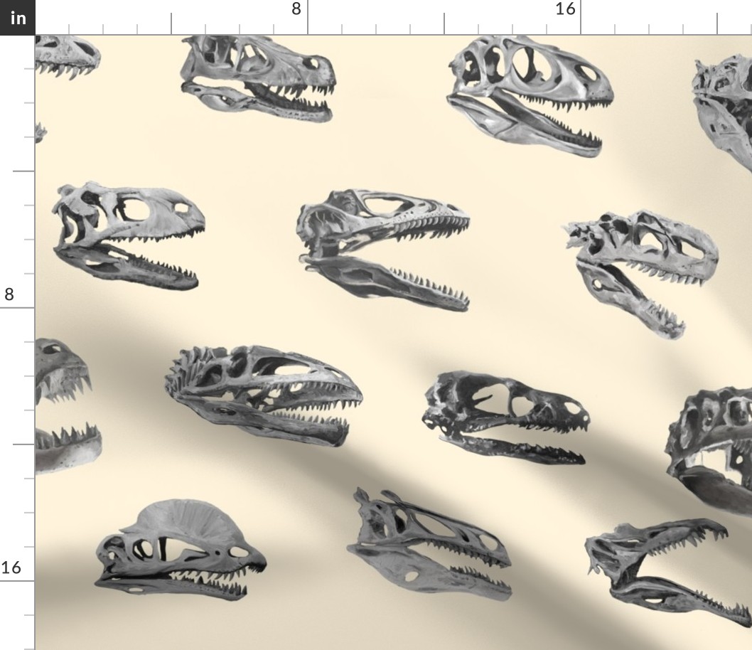 Jumbo Carnivore Dino Skulls