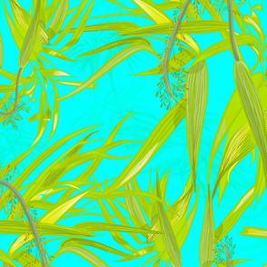 Broad leaved bristle grass in light turquoise 
