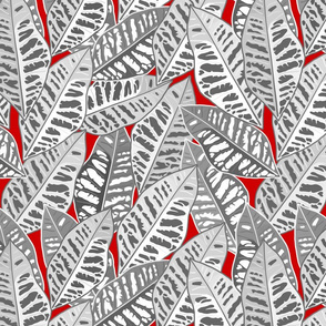 Crotons Are Cool! - greyscale on crimson red, medium/large 