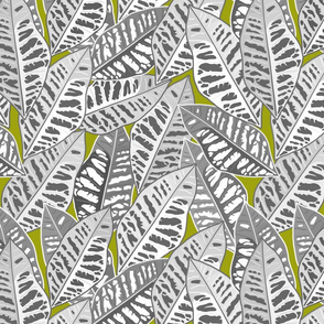 Crotons Are Cool! - greyscale on olive green, medium/large 