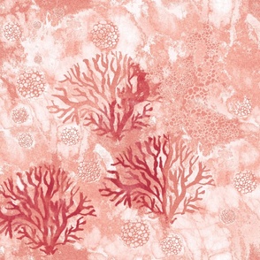 Coral reef in dusty rose