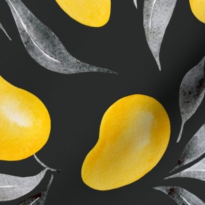 Ripe yellow mango on dark grey background