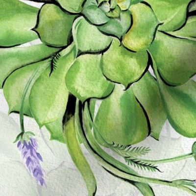 Succulents & Lavender 