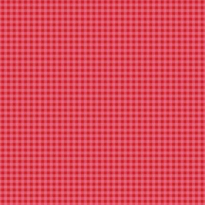 Western Mini Gingham in Red + Pink