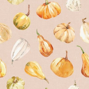 Fall Gourds / Blush Cream Textured