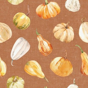 Fall Gourds / Santa Fe