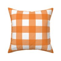 Orange Gingham - Large (Summer Collection)