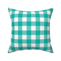 Teal Gingham - Medium (Summer Collection)