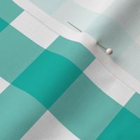 Teal Gingham - Medium (Summer Collection)