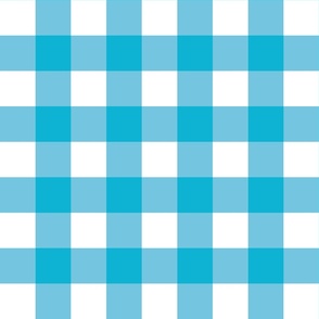 Bright Blue Gingham - Large (Summer Collection)