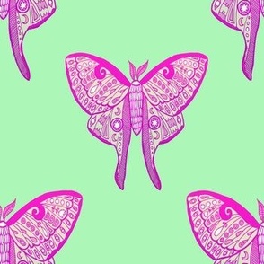 Luna moth butterfly illustration pink ombre pattern