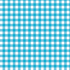 Bright Blue Gingham - Small (Summer Collection)