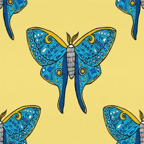 luna moth illustration blue orange pattern