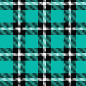 Teal Plaid - Large (Summer Collection)