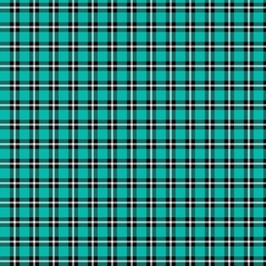 Teal Plaid - Small (Summer Collection)