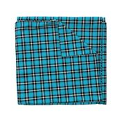 Bright Blue Plaid - Medium (Summer Collection)