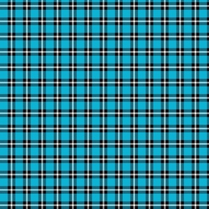 Bright Blue Plaid - Small (Summer Collection)