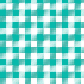 Teal And White Check - Medium (Summer Collection)