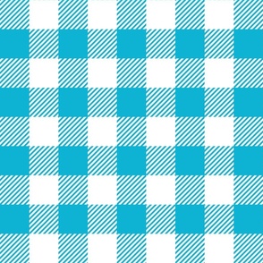 Bright Blue And White Check - Large (Summer Collection)