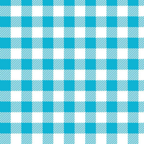 Bright Blue And White Check - Medium (Summer Collection)
