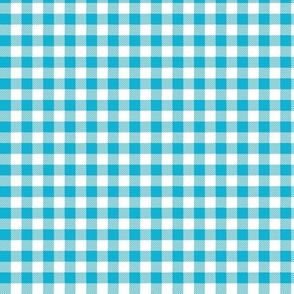 Bright Blue And White Check - Small (Summer Collection)