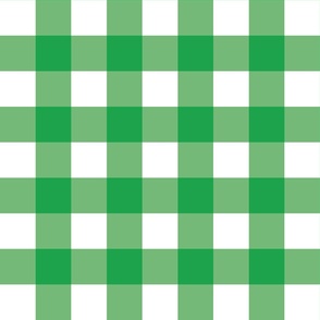 Green Gingham - Large (Watermelon Collection)